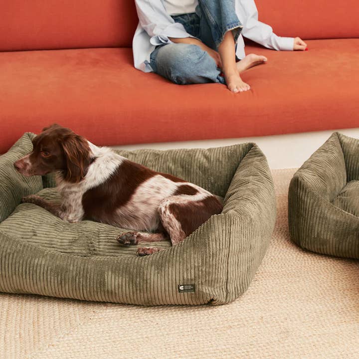 CAFIDE - Wholesale Pet bed – Dog - Green Corduroy Dog Bed, Snozy3