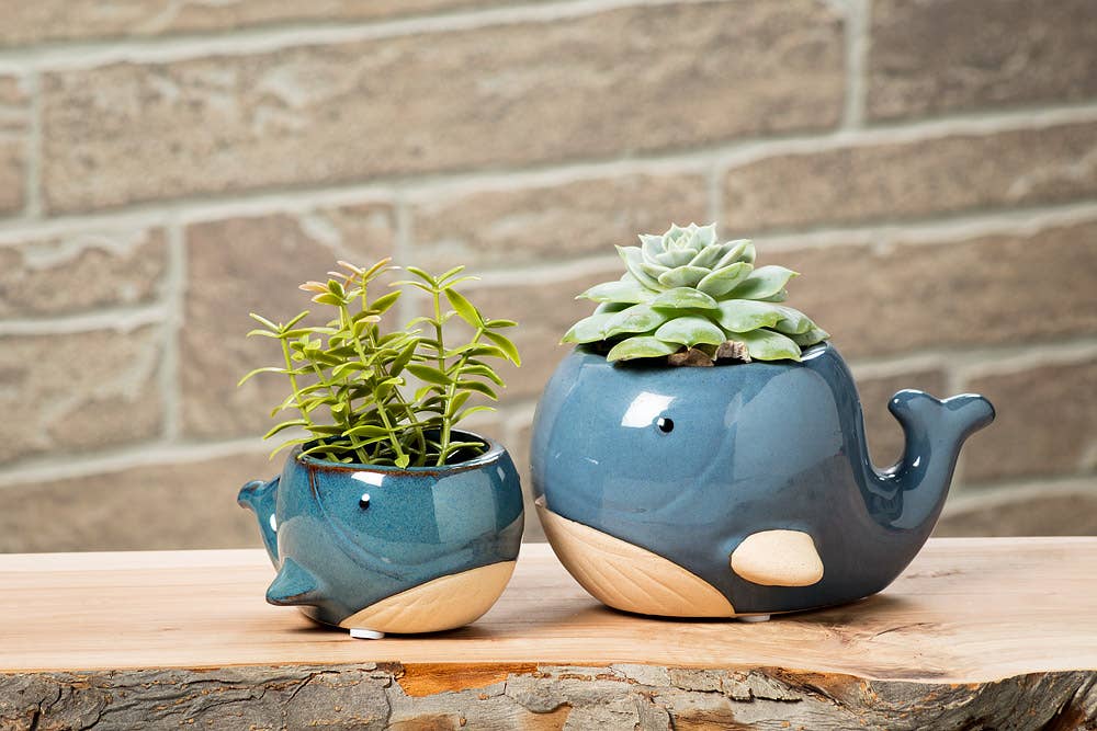Abbott - Wholesale Plant Pot - Lg Blue Whale Planter-3"H-8782