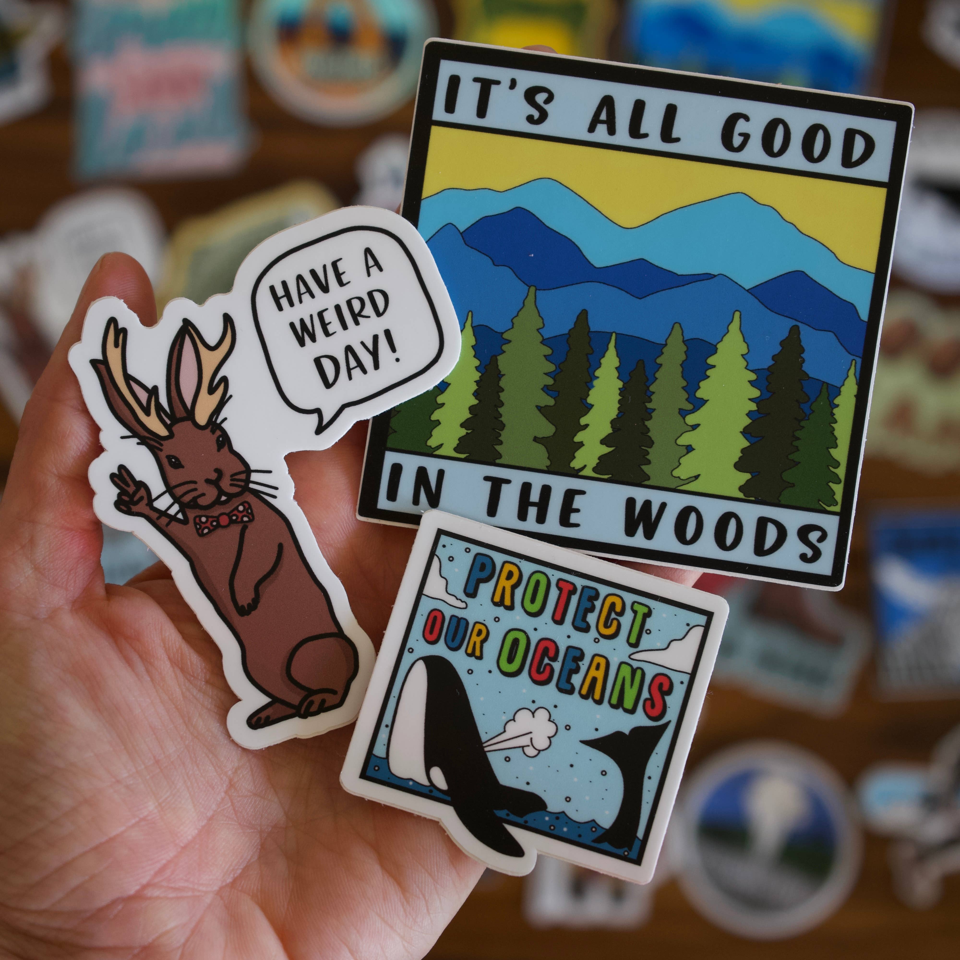 Jones Sticker Co - Wholesale Sticker - Protect Our Oceans Sticker | Whale Sticker2