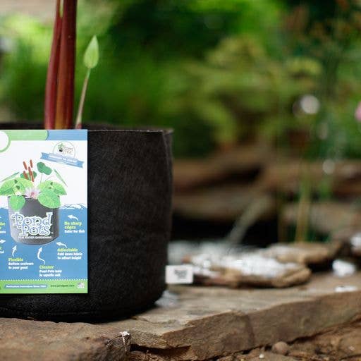 Smart Pots - Venta al por mayor Macetas - Macetas para estanque de 10 galones2