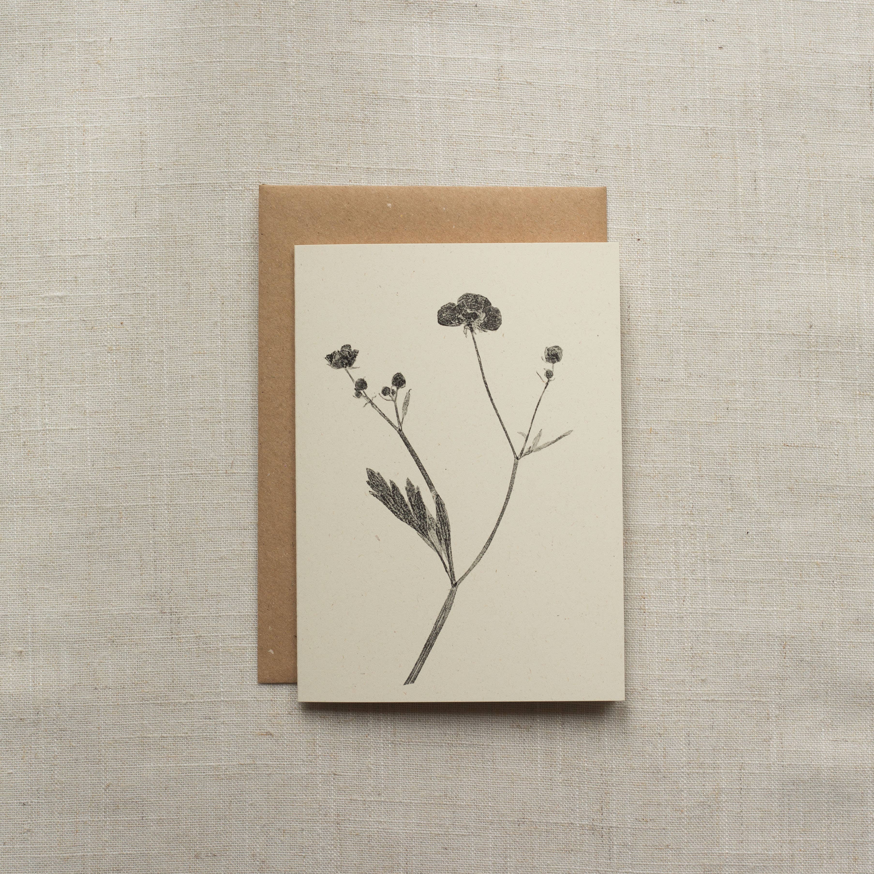 Alicia Breakspear – wholesale Everyday greeting card – Meadow Buttercup Flower Greeting Card A6 Recycled Card1