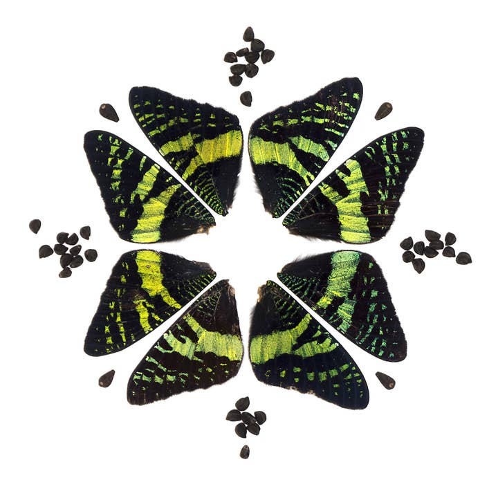 Carte postale miniature imprimable avec enveloppe MAR11-21 pour la vente par Beth Adoette