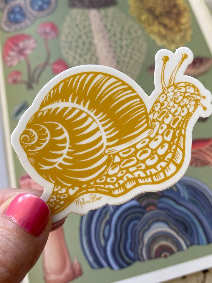 Snail Sticker, Garden Snail, Outdoor Sticker, Vinyl Sticker for wholesale by Melissa Pothier Art