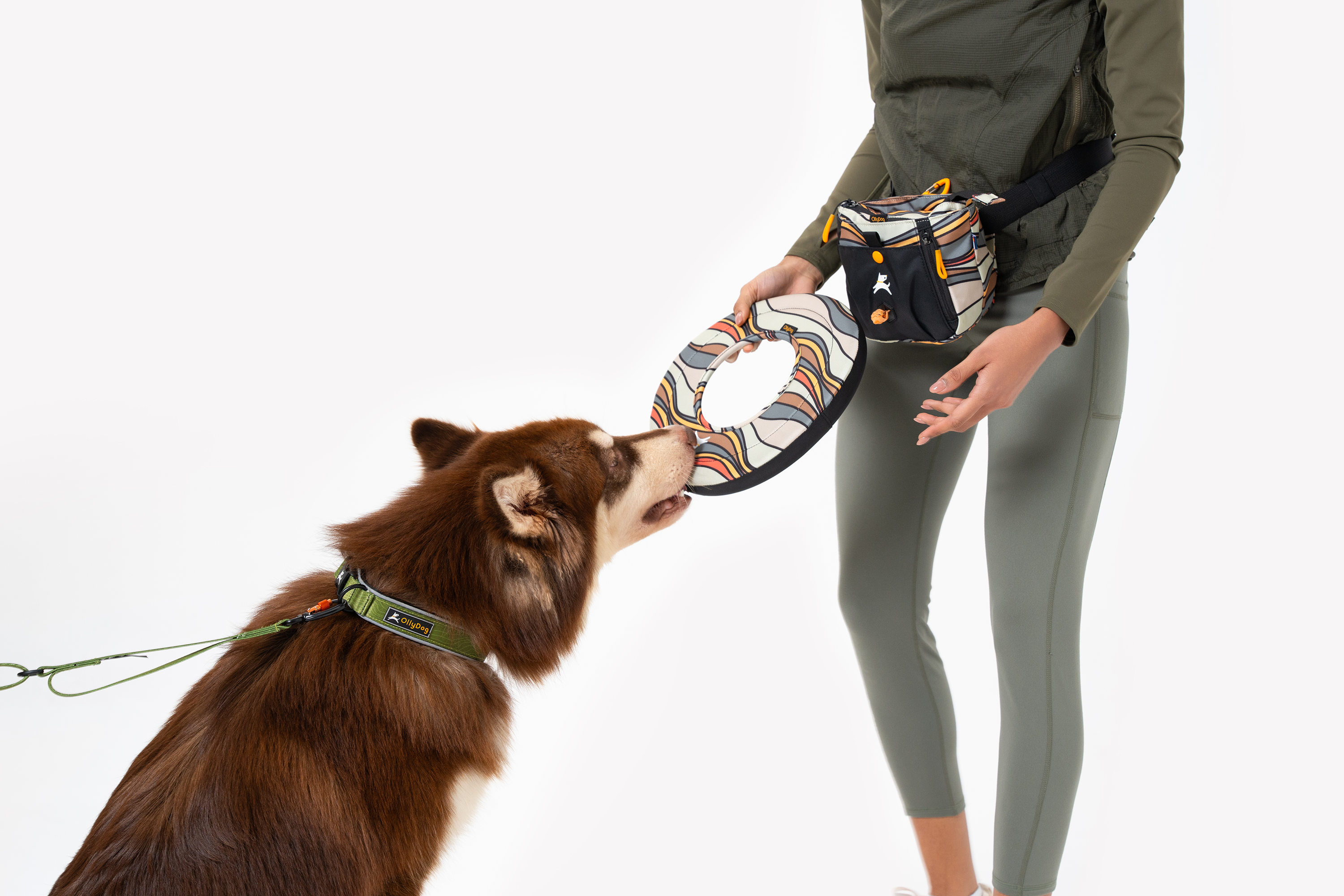 OllyDog - Wholesale Pet Ball Thrower - Dog - Super Flyer40