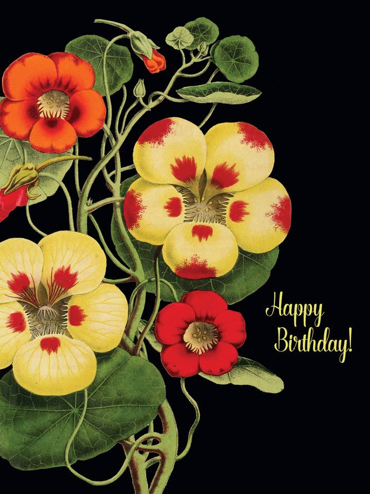 Feliz cumpleaños (capuchina) • Tarjeta de felicitación A-2 para venta al por mayor de P. Flynn Design / Phun House