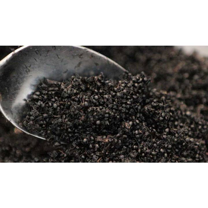 Edible Bug Shop AKA Circle Harvest - Vente Bonbons durs - Bonbons véritables fourmis 10g1