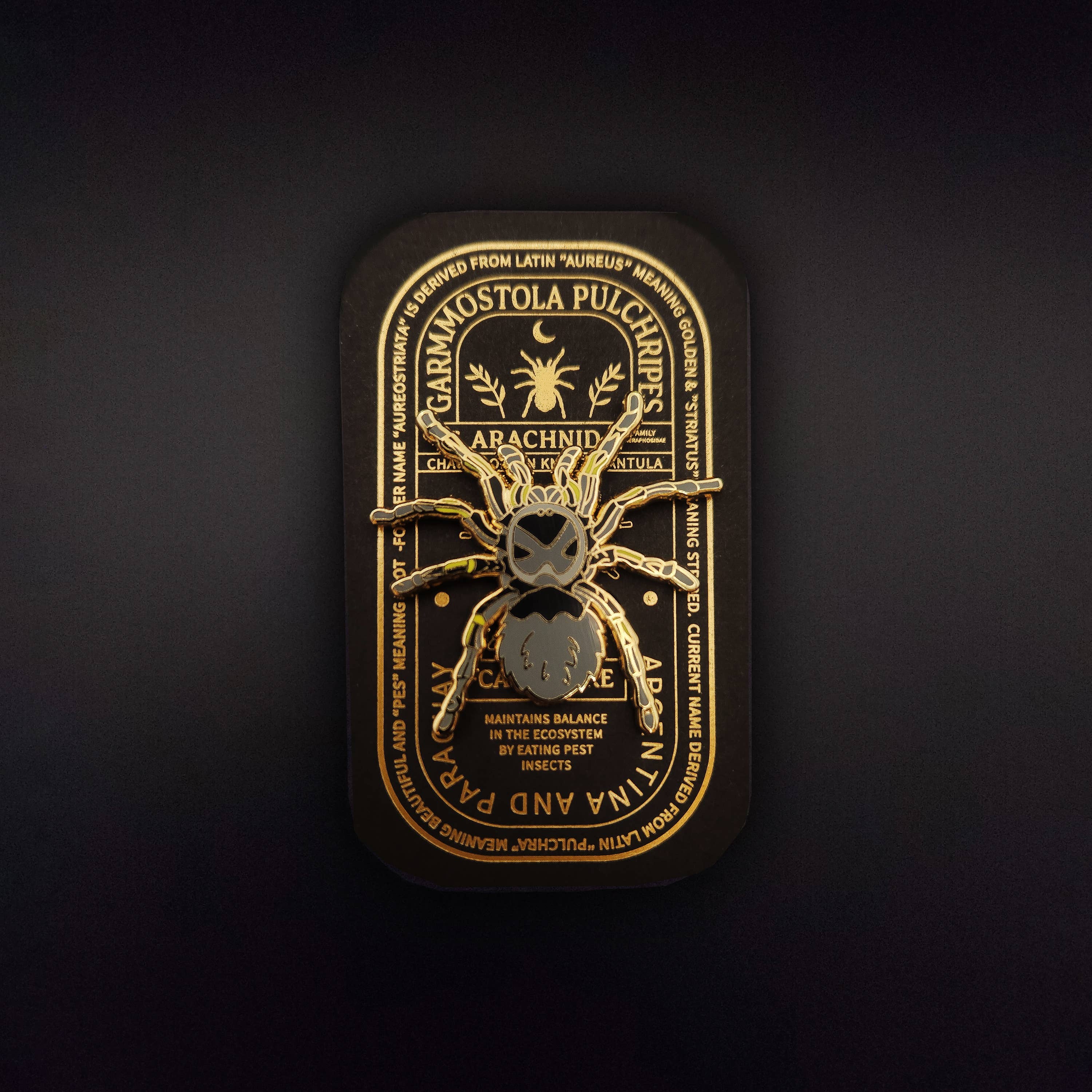 Pinsects - Wholesale Lapel Pin/Button - Chaco Golden Knee Tarantula Educational Insect Enamel Pin1