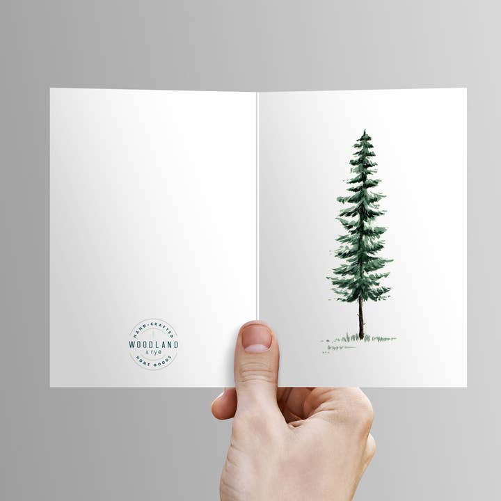 Spruce Tree for wholesale by Woodland & rye