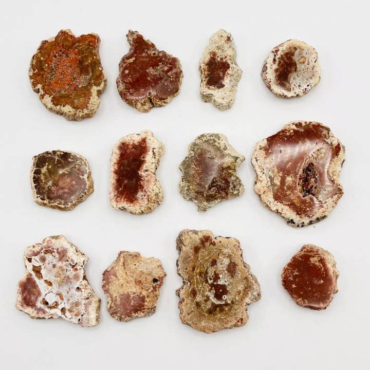 Rock Paradise - Wholesale Spiritual stone/crystal - Petrified Wood Slabs1