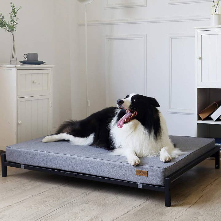 Kopeks – Großhandel Haustierbett – Hund – Erhöhtes Hundebett mit orthopädischer Schaummatratze
