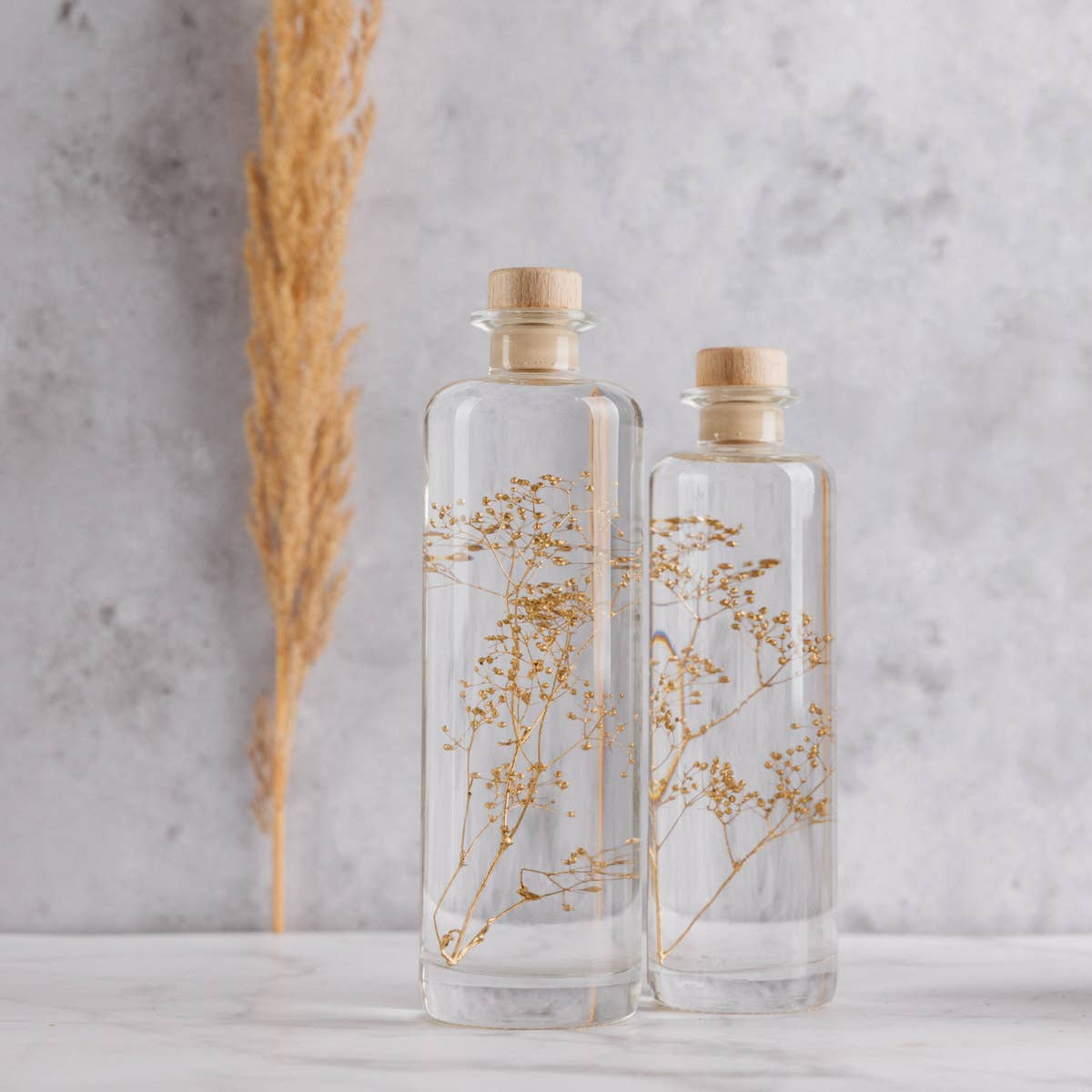 Theophile Berthon - Vente Plante - L'Herbarium Gypsophile Or - plante immergée5