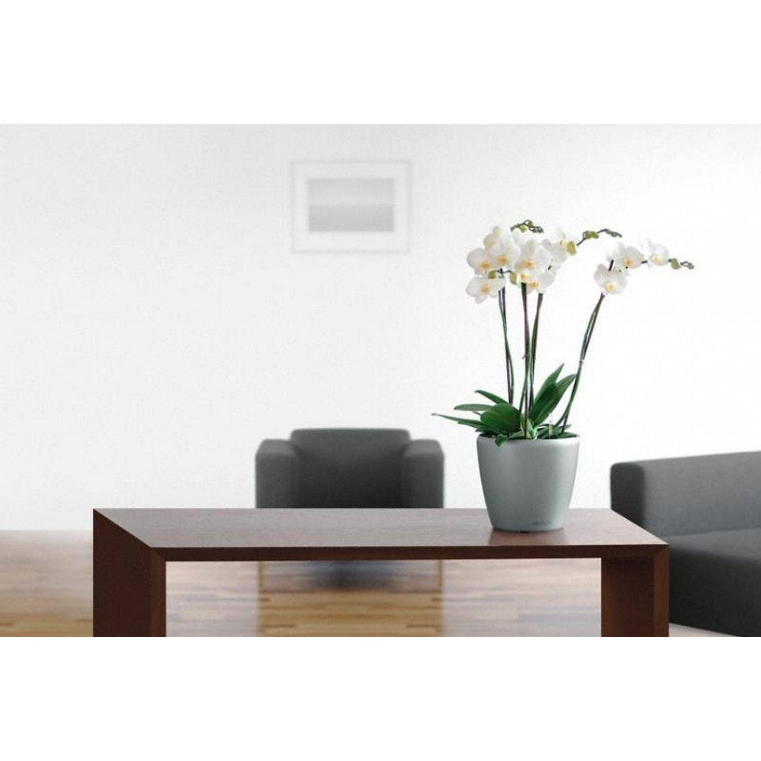 Lechuza Self Watering Planters - Vendita all'ingrosso Vasi per piante - LECHUZA CLASSICO LS Vaso rotondo in poliresina11