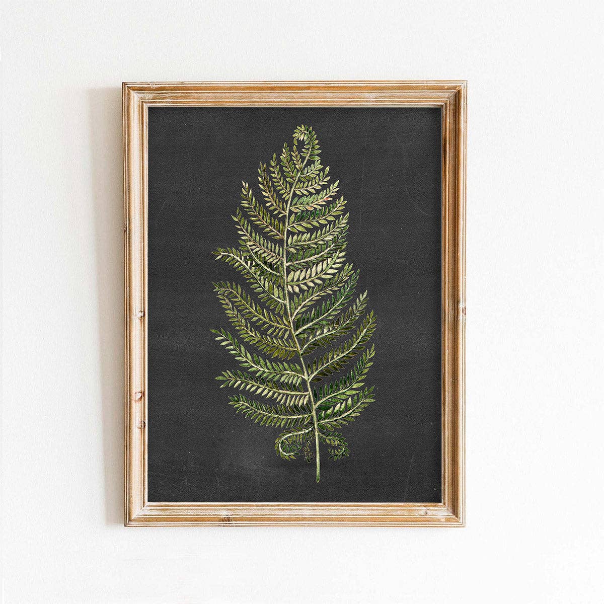 Paper House Print Shop - Wholesale Art Print - Black Background Fern Leaf Pattern Art Print