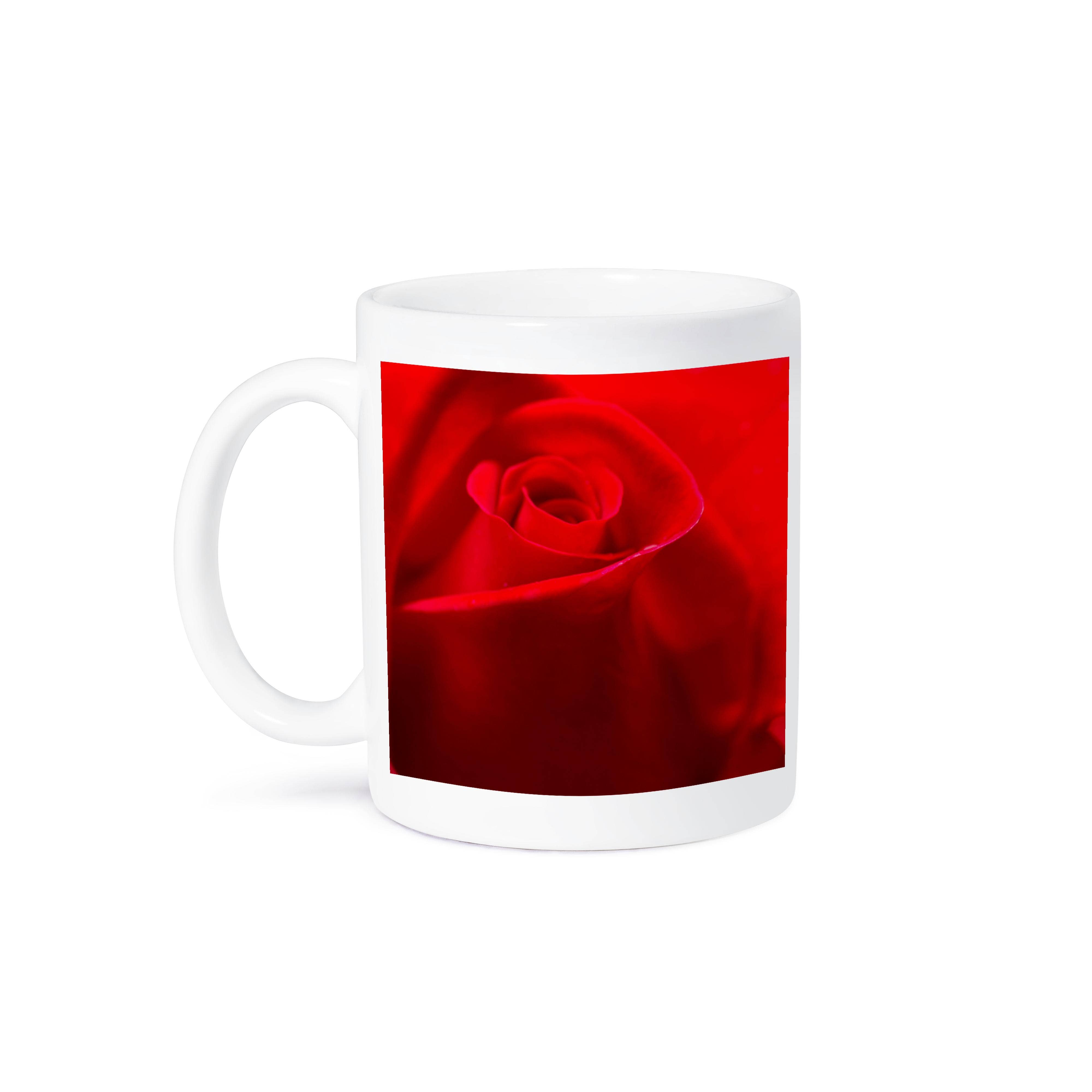 3dRose - Wholesale Coffee Mug - 3dRose, USA, Georgia, Savannah. Red rose bud in the spring., Mug8