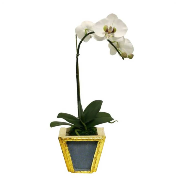 [WXSP-DG-ORGR Wooden Small Container Dark Grey Blue & Gold - White & Green Orchid Artificial for wholesale by Bougainvillea