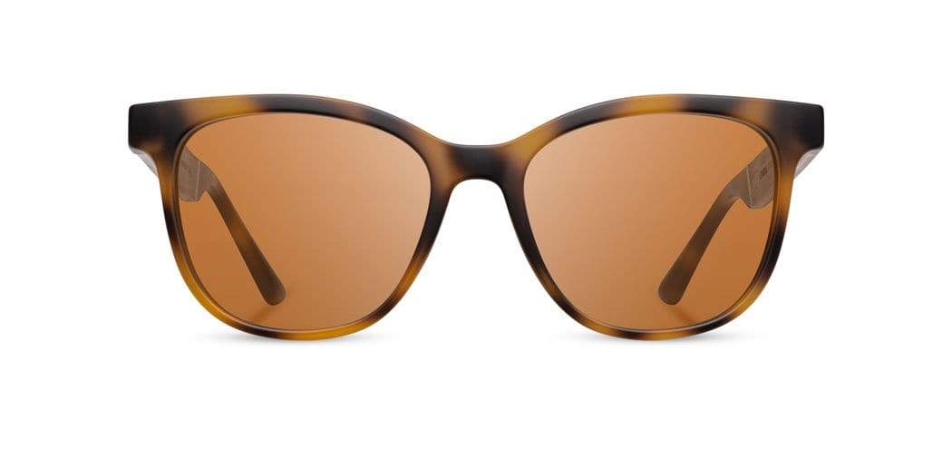 CAMP Eyewear - Wholesale Sunglasses - Unisex - CAMP Cove Sunglasses - Matte Tortoise6