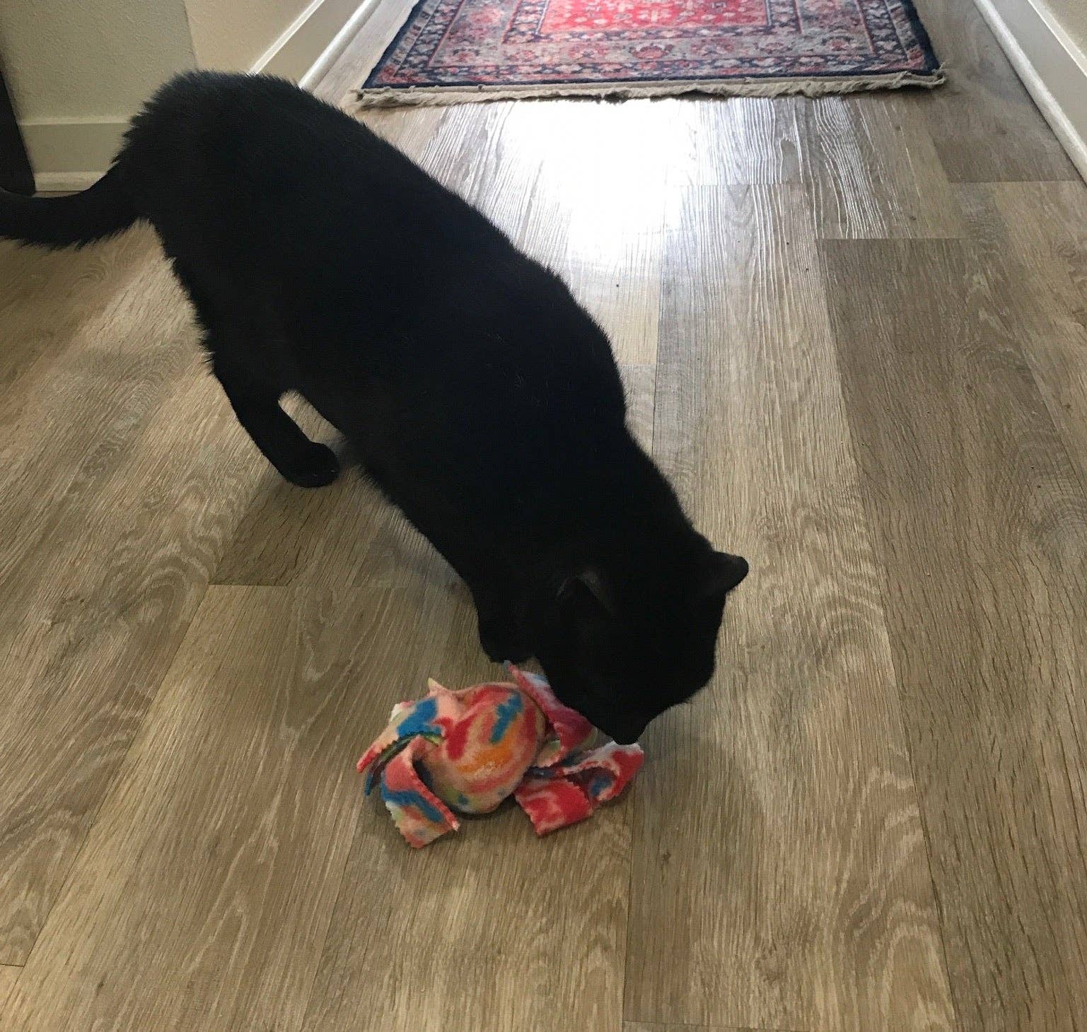 Pets Pizzazz - Wholesale Pet Toy - Cat - Catnip Knots5