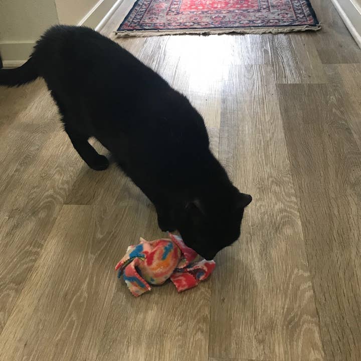 Pets Pizzazz - Wholesale Pet Toy - Cat - Catnip Knots5