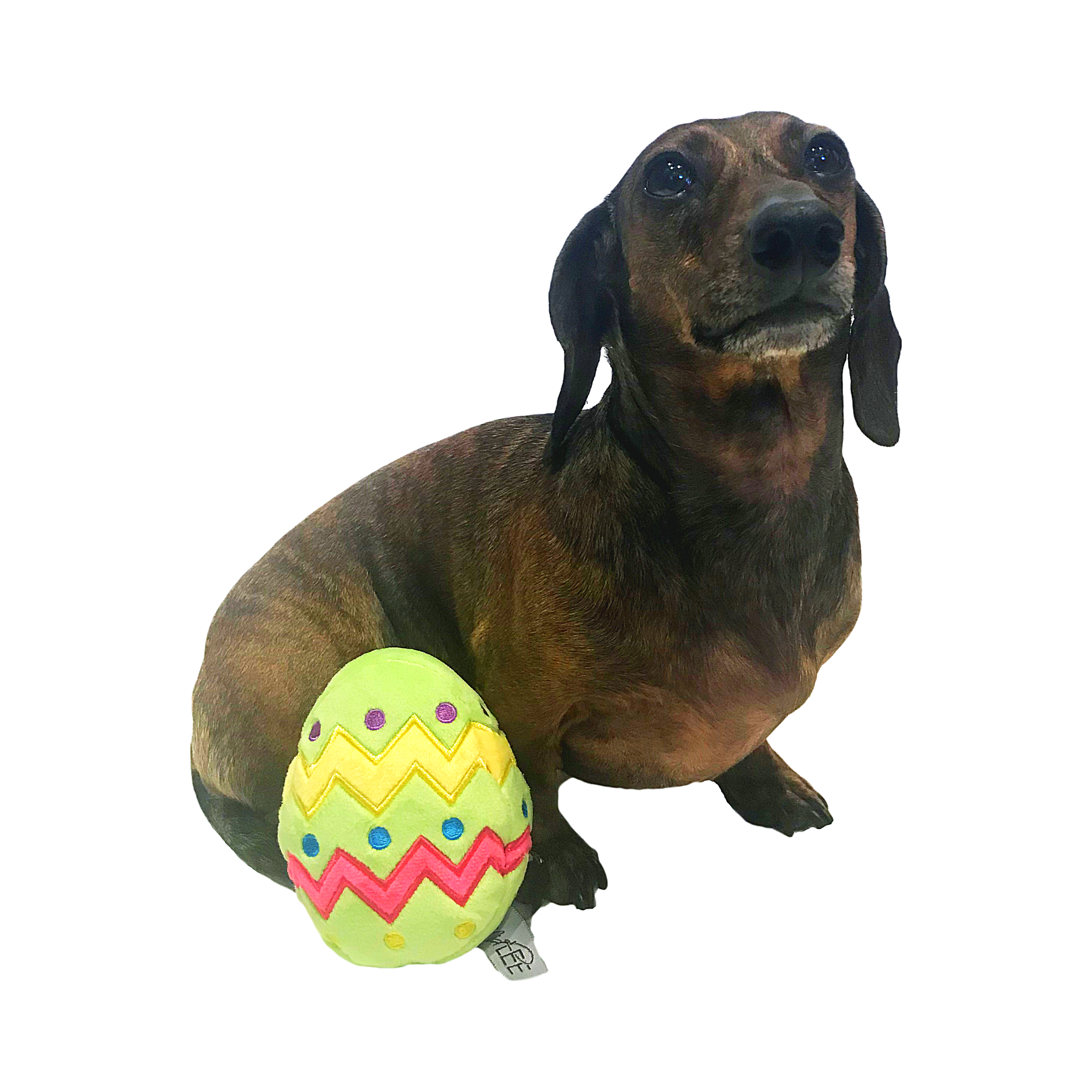 Midlee Designs – wholesale Pet plush toy – Dog – Midlee Plush Easter Egg Dog Toy with Squeaker5