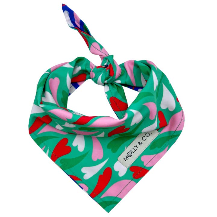 Amore - Reversible Dog Bandana for wholesale by Molly & Co.