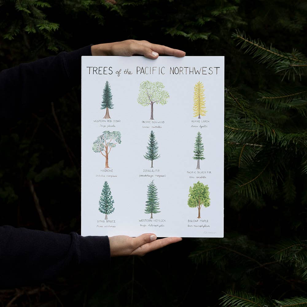 Yardia - Wholesale Art Print - Pacific Northwest Trees - 11” x 14” Watercolor Art Print1