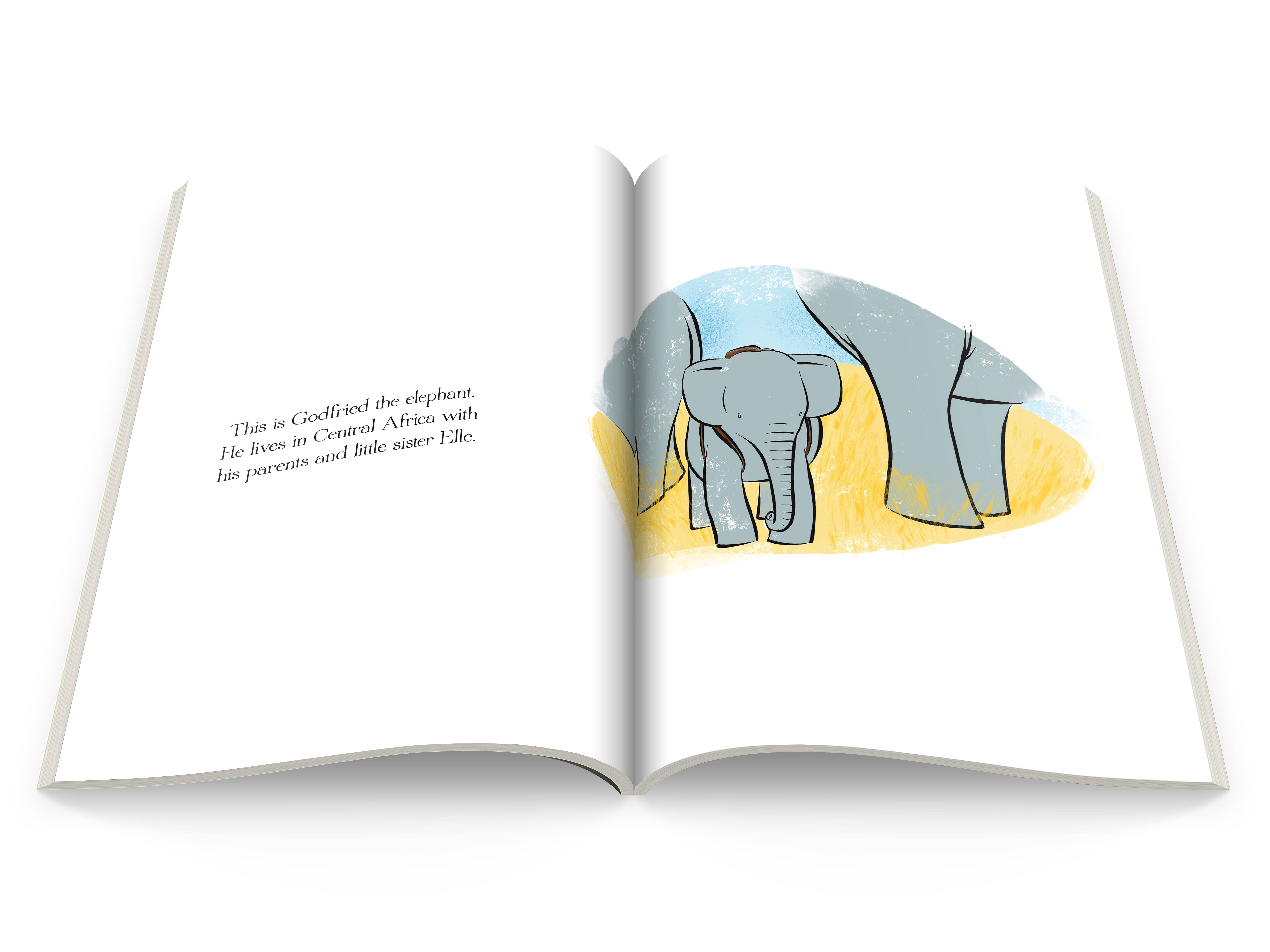 Dye Brothers – wholesale Pre-school book (3–5) – Godfried the Elephant and the Dangerous Peanut1