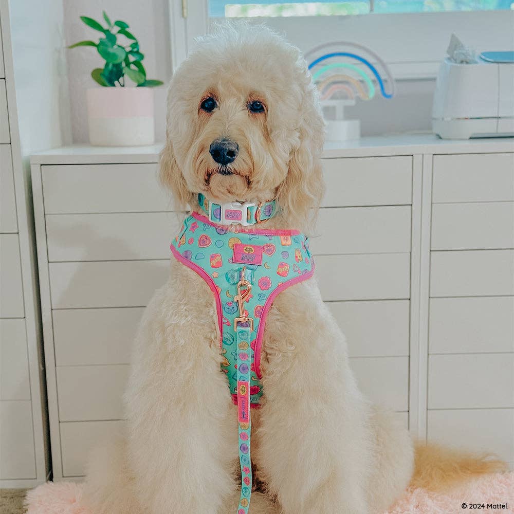 SASSY WOOF - Wholesale Pet Leash - Dog - Dog Leash - Polly Pocket™7