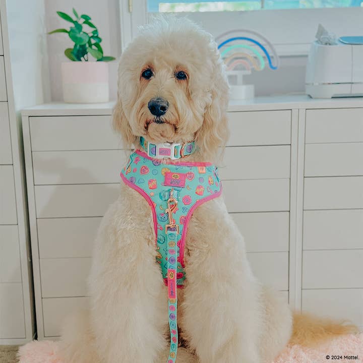 SASSY WOOF - Wholesale Pet Leash - Dog - Dog Leash - Polly Pocket™7