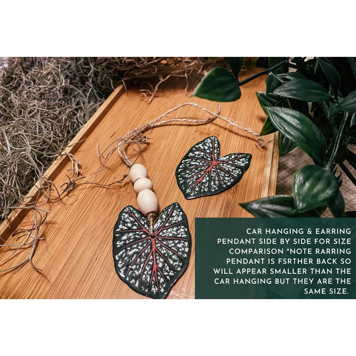 hethr – Engroshandel Hængeøreringe og creoløreringe – Anthurium Clarinervium Plant: Ørering, Magnet, Pin, Indretning6