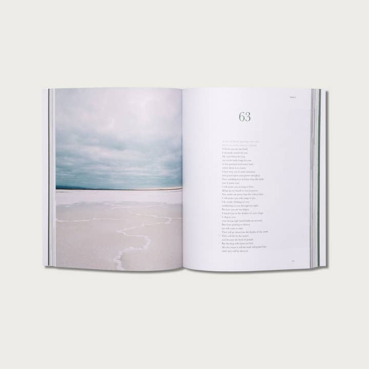 Alabaster Co - Vente Livre sur la religion - Le livre des psaumes8