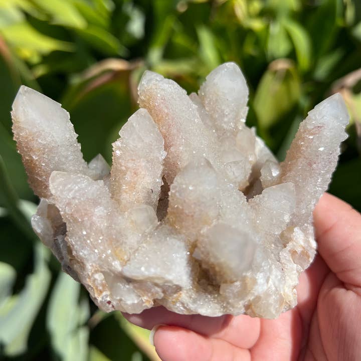 Spirit Quartz Cluster | Cactus Quartz for wholesale by Celestial Avenue
