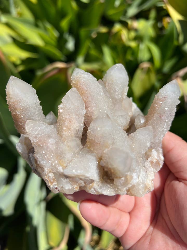 Spirit Quartz Cluster | Cactus Quartz for wholesale by Celestial Avenue