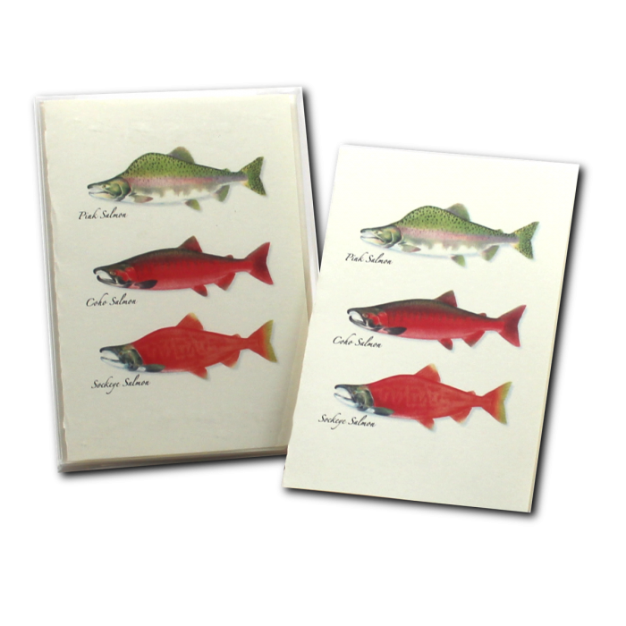 Earth Sky + Water - Wholesale Stationery/Notecard Set - Salmon Trio2