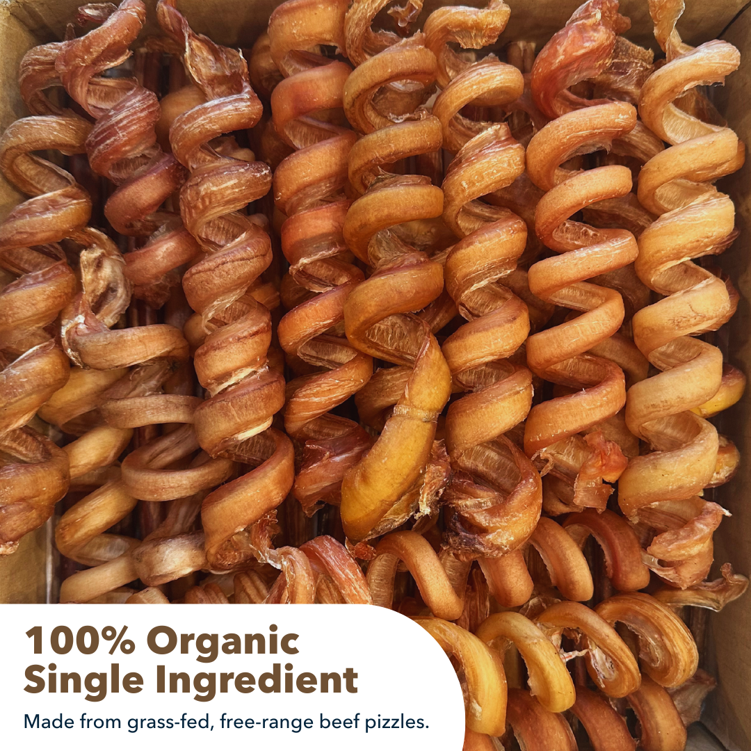 Mighty Chewz - Wholesale Pet Treats - Dog - 6-9" Bulk Bully Springs (Case Price: $3.51/Stick)5