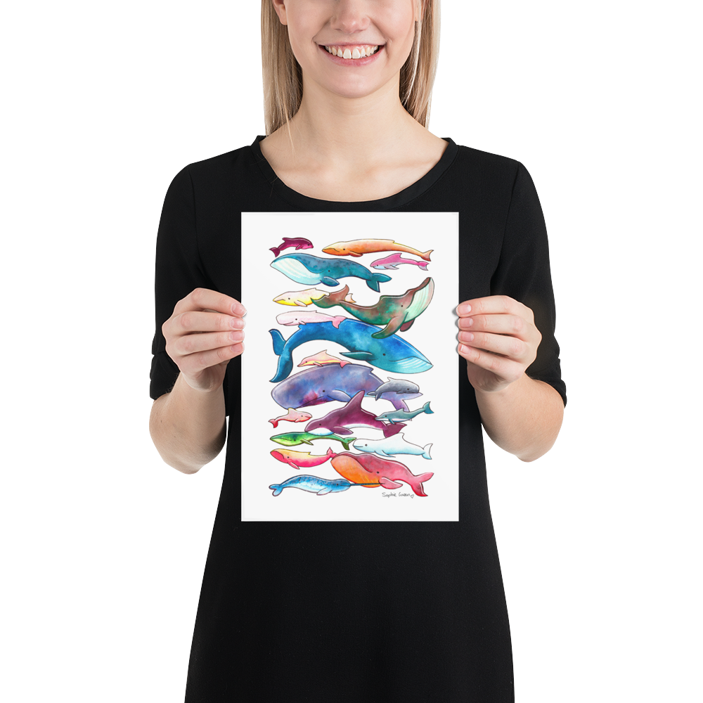 Sophie Green Artist - Wholesale Art Print - Whales Dolphins Porpoises Print1