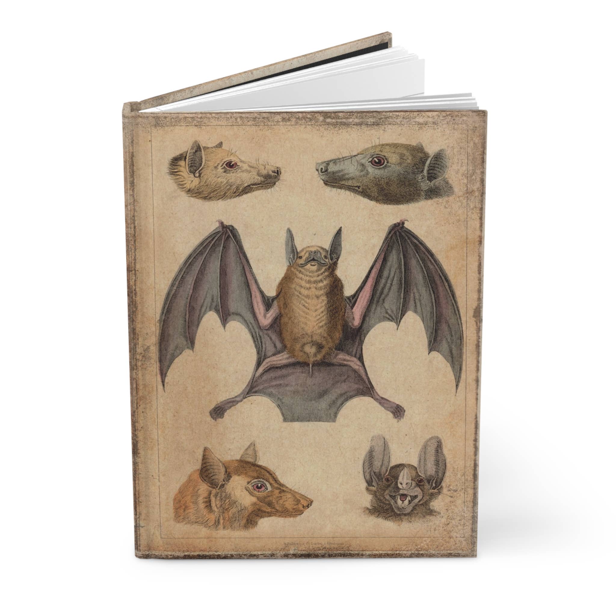 Asunder Bazaar - Wholesale Journal/Diary - Vintage Bats Matte Hardcover Journal1