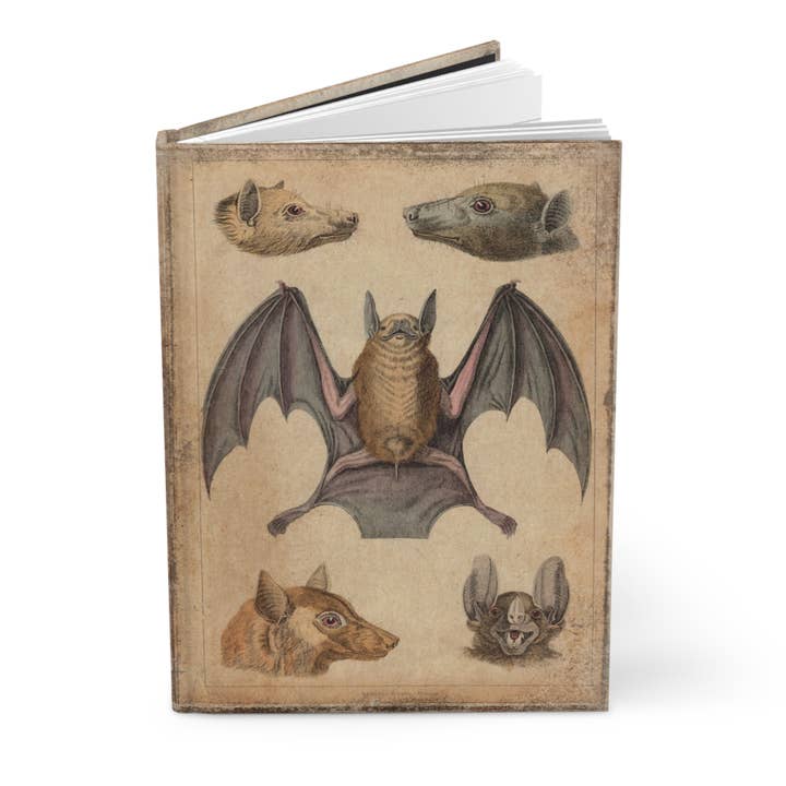 Asunder Bazaar - Wholesale Journal/Diary - Vintage Bats Matte Hardcover Journal1