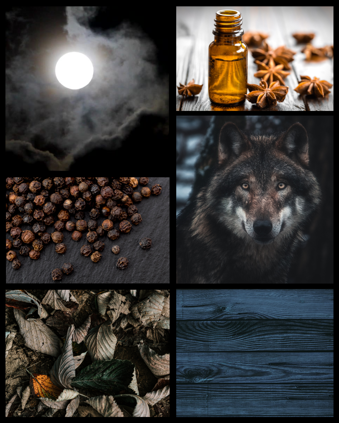 Burke & Hare Co - Wholesale Roll-On Fragrance - Halloween Perfume - Wolf Moon - Gothic - Black Licorice2