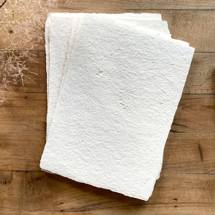 Handmade Paper in Bulk and other Purchase Wholesale bâton sauge. Free Returns & Net 60 Terms on Faire trending on Faire.