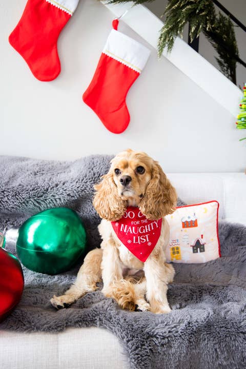Pet Palette Distribution - Wholesale Pet Bandana - Dog - Pearhead "Too Cute For the Naughty List" Bandana
