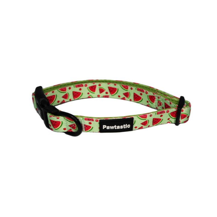 Collier de pastèque pour la vente par Pawtastic Bandanas