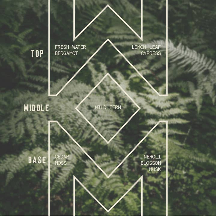 Sawdust & Embers - Wholesale Pot/gevulde kaars - 🌿Fern Canyon – Signature Kaars3