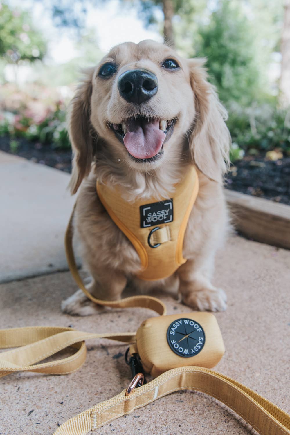 SASSY WOOF - Wholesale Pet Poop Bag Dispenser - Dog Waste Bag Holder - Sunflower Fields 3