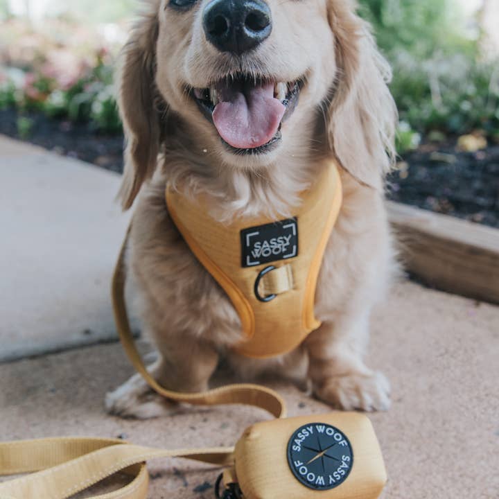 SASSY WOOF - Wholesale Pet Poop Bag Dispenser - Dog Waste Bag Holder - Sunflower Fields 3