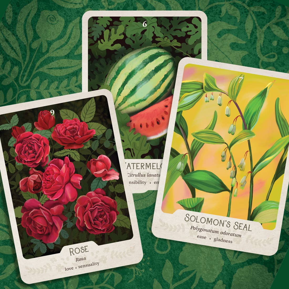 La Panthère Studio - Wholesale Tarot Cards - The Southern Botanic Oracle3