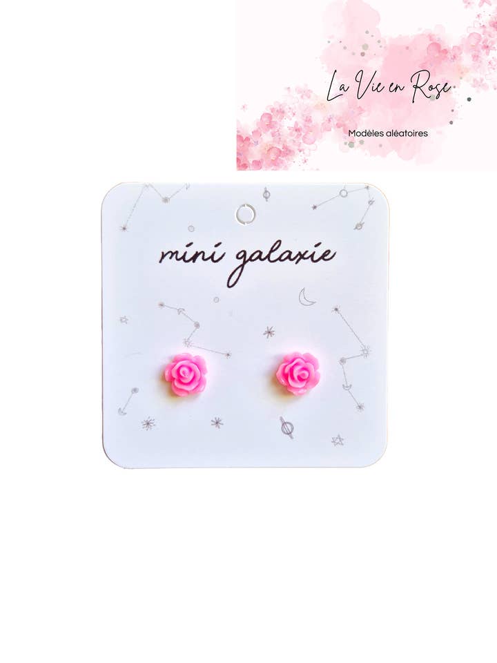 Kinder-Ohrstecker La vie en rose 🌺zufällig für den Großhandel von Mini galaxie