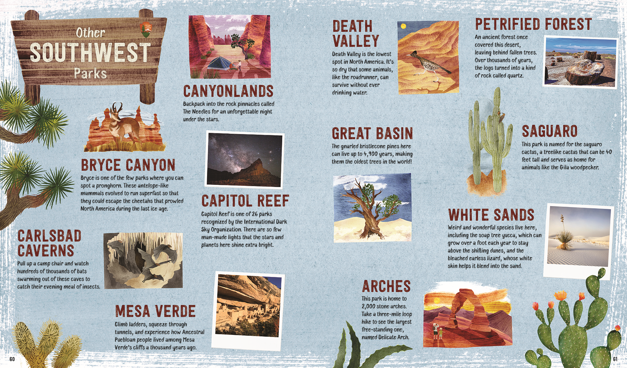 EDC Publishing - Wholesale Early Reader Book (6-8) - Explore! America's National Parks4