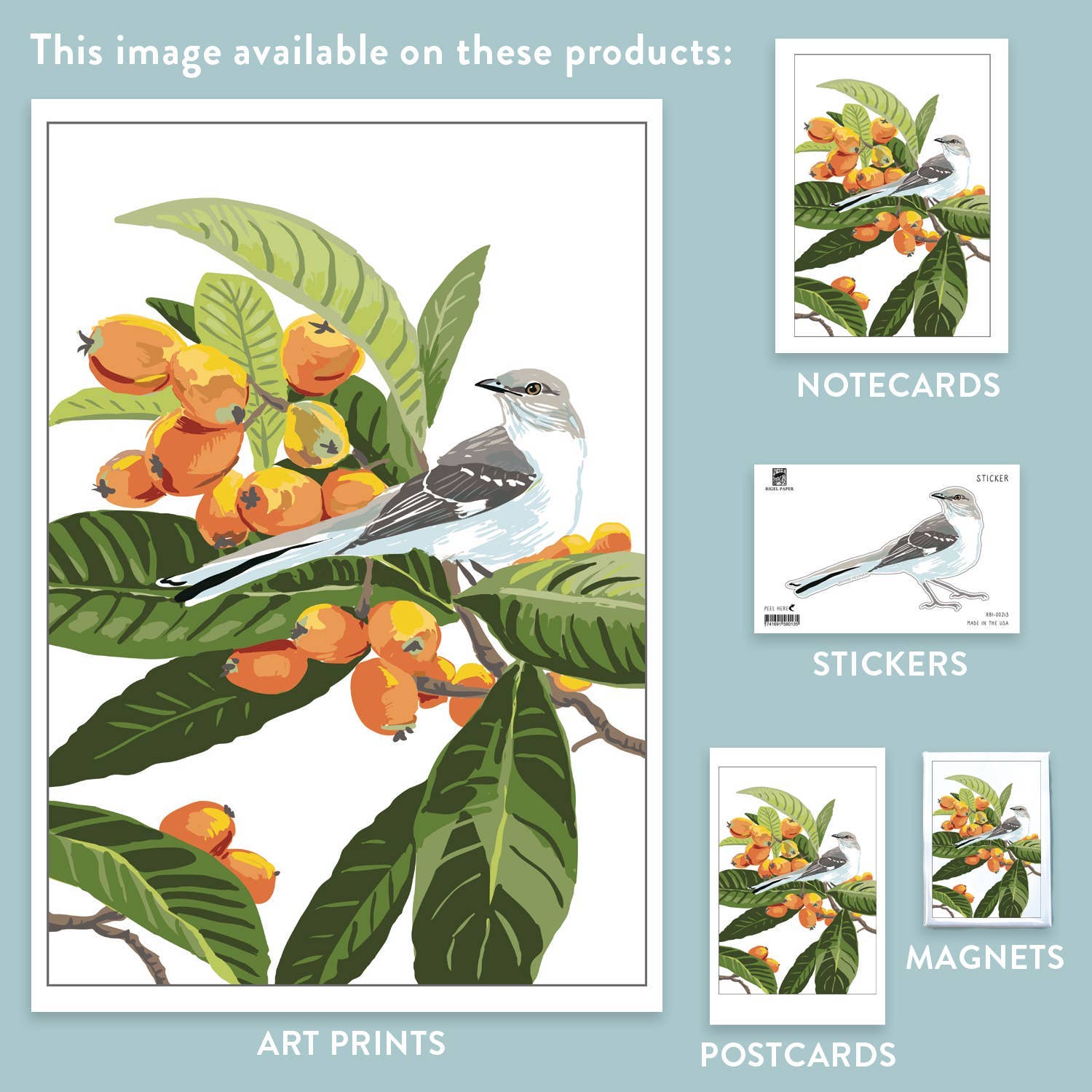 Rigel Paper - Wholesale Everyday Greeting Card - RBI-213  Loquat & Mockingbird Greeting Card: Bird and Fruit2