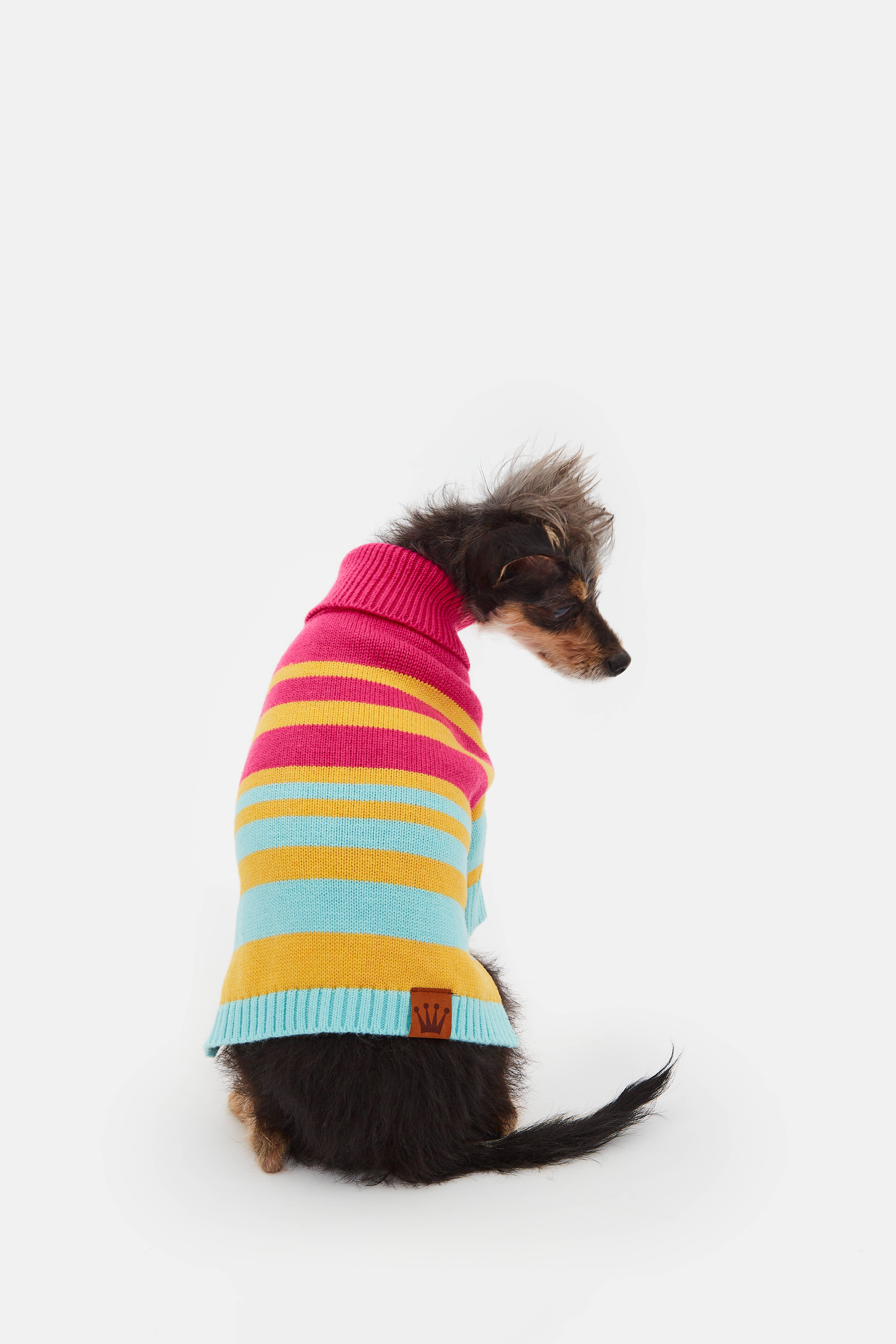 ARISTOPET - Wholesale Pet Sweater - Dog - BERNARD JERSEY8