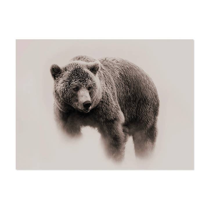 Bear vinyl rug for wholesale by Podevache